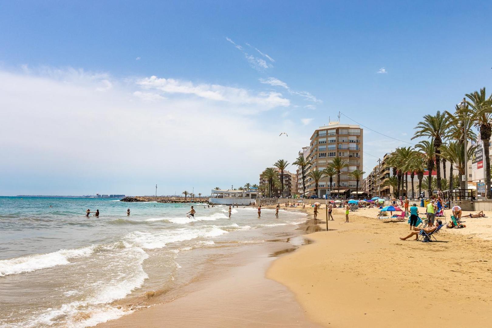 Mi Patio Διαμέρισμα Τορεβιέχα Εξωτερικό φωτογραφία