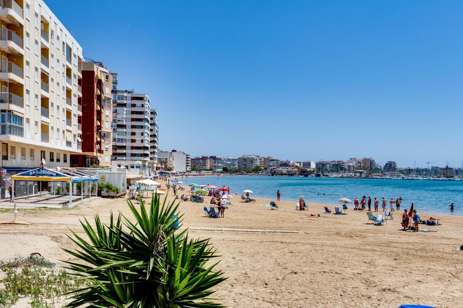 Mi Patio Διαμέρισμα Τορεβιέχα Εξωτερικό φωτογραφία