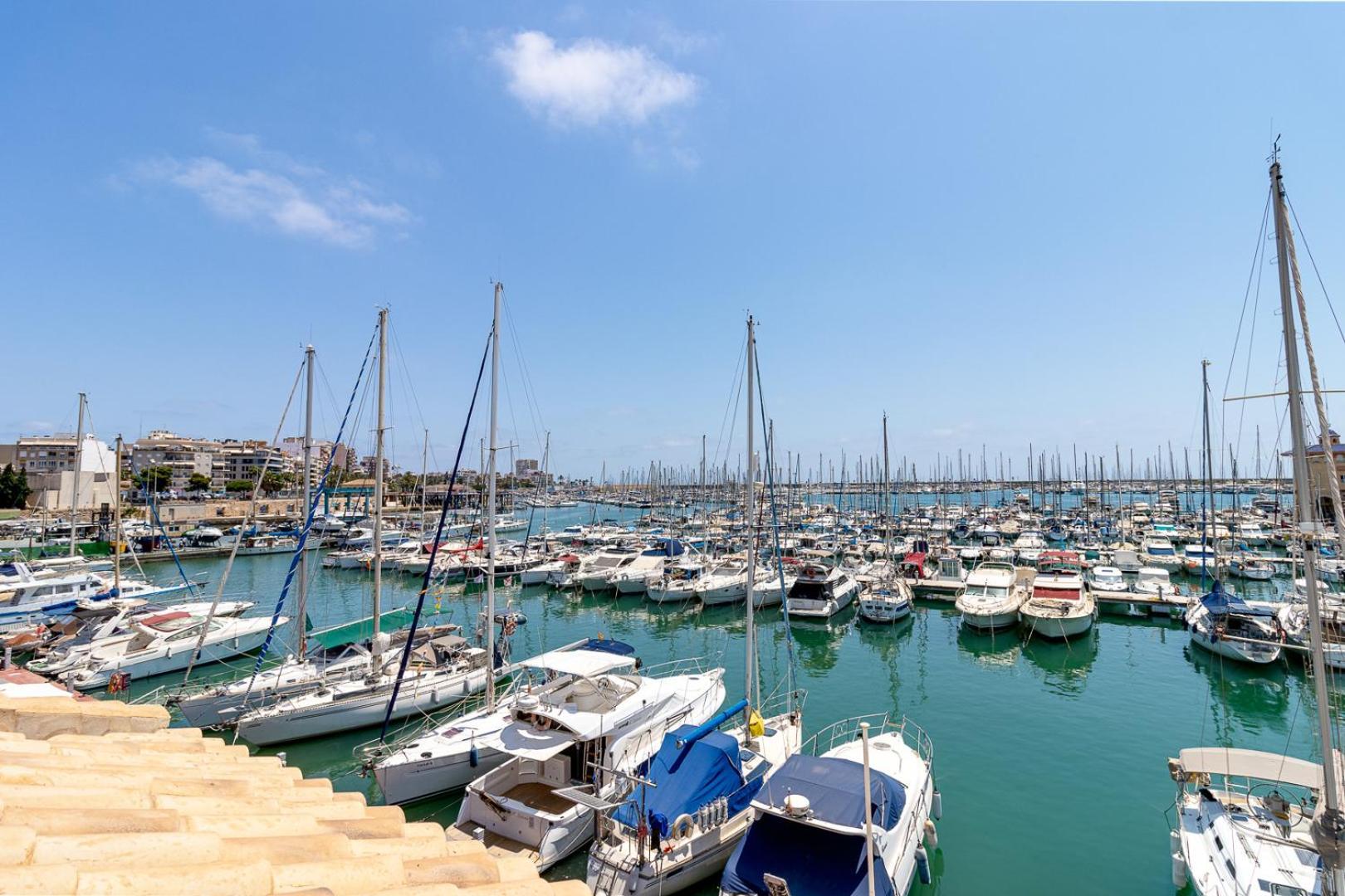 Mi Patio Διαμέρισμα Τορεβιέχα Εξωτερικό φωτογραφία