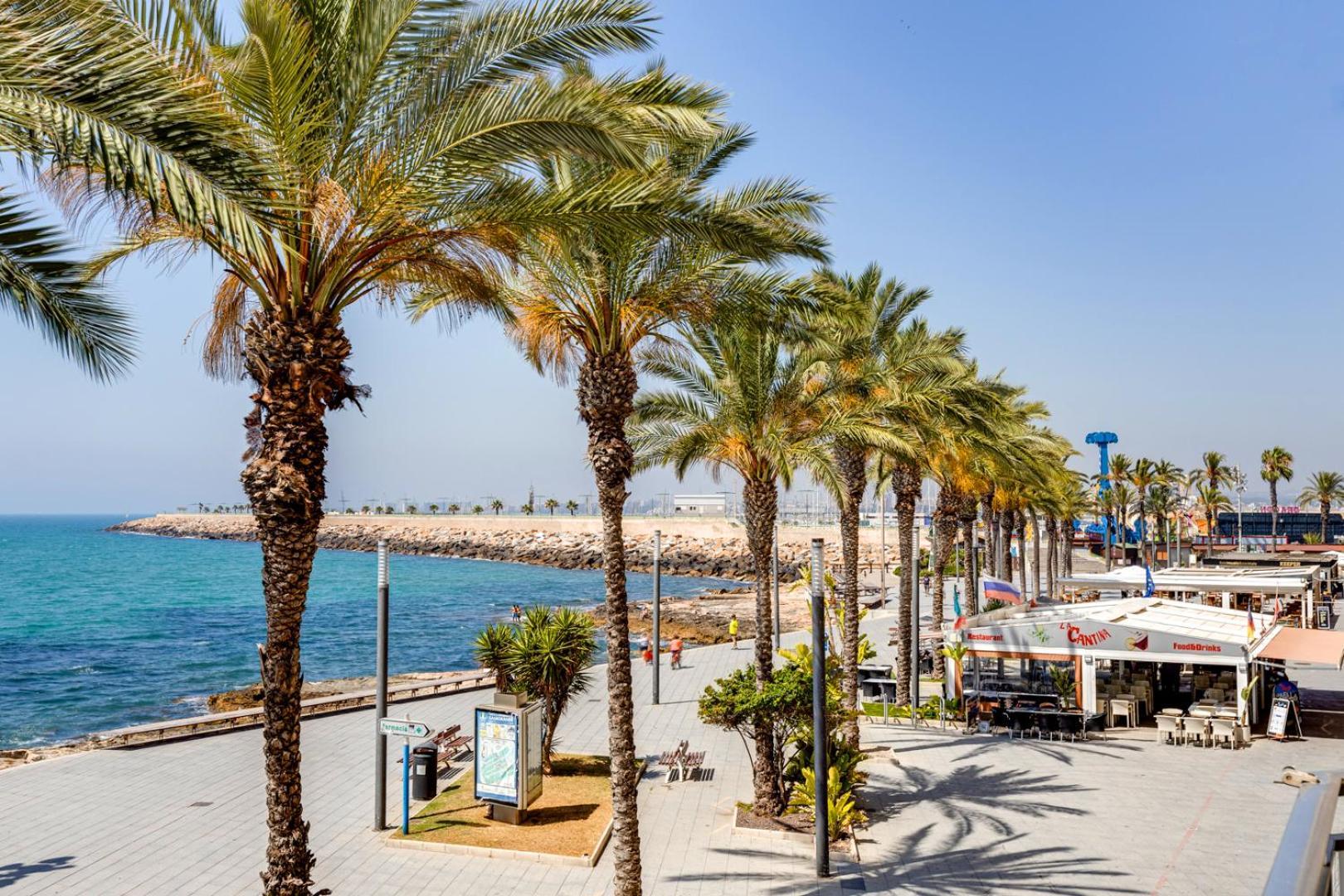 Mi Patio Διαμέρισμα Τορεβιέχα Εξωτερικό φωτογραφία
